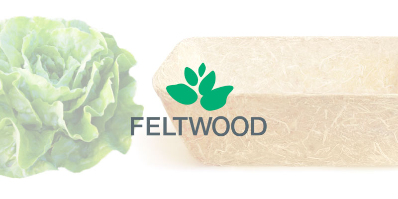 Feltwood