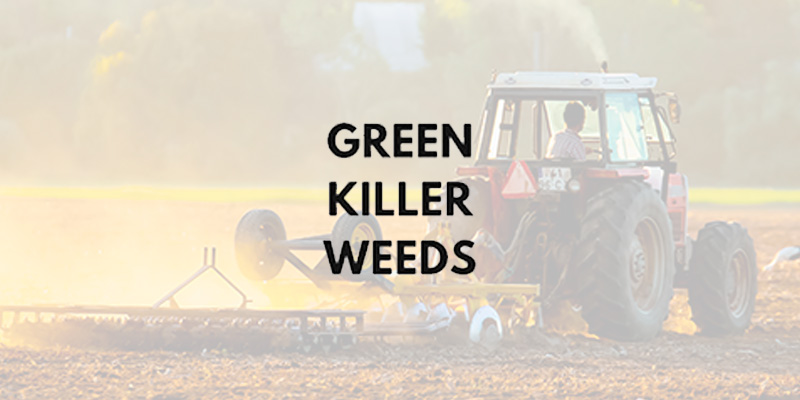 Green Killer Weeds