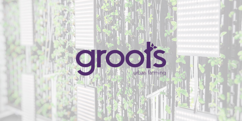 Groots