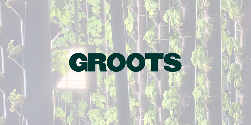 Groots