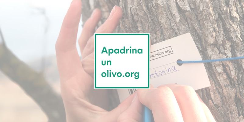 Apadrina un Olivo