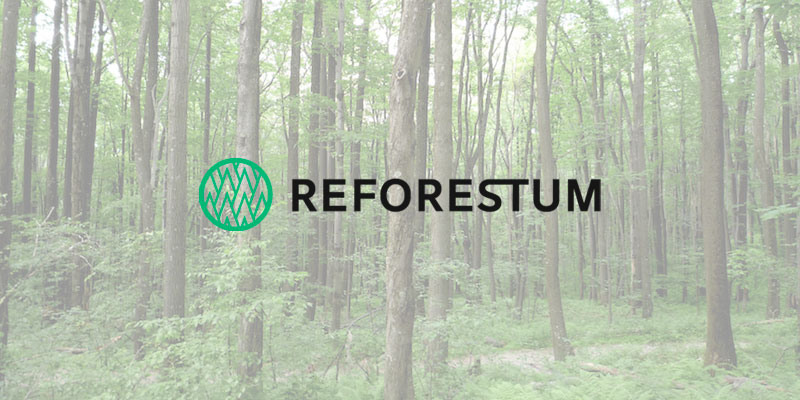Reforestum