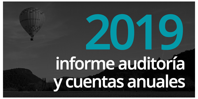 audit2019
