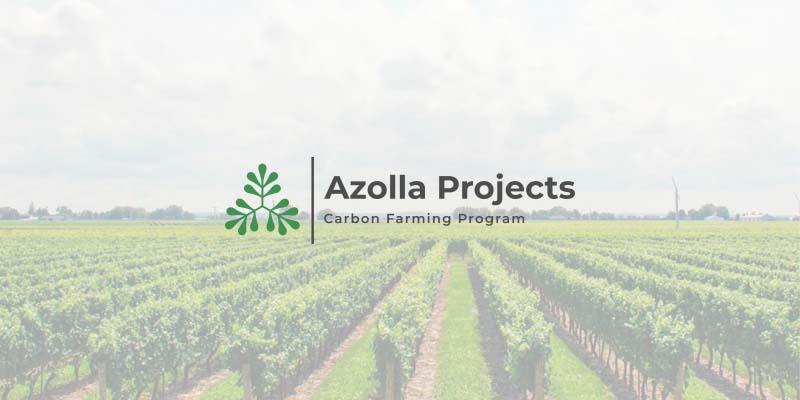 Azolla Projects