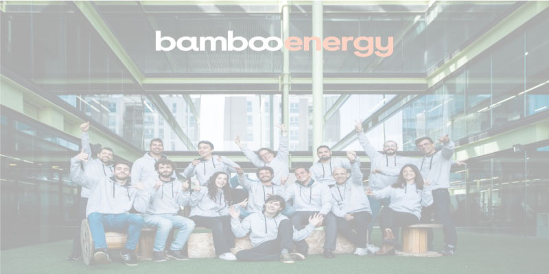 Bamboo Energy