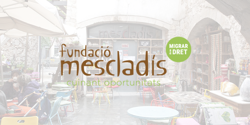 Fundació Ciutadania Multicultural