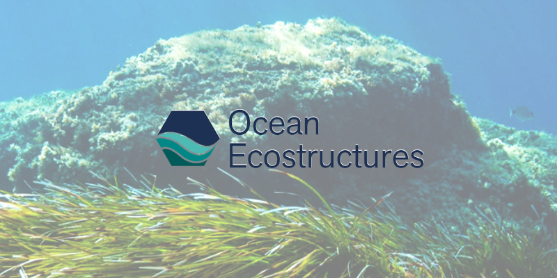 Ocean Ecoestructures